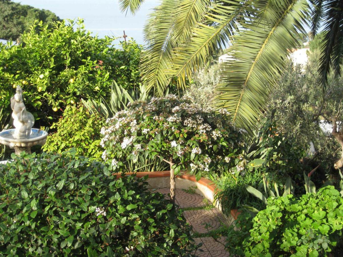 Green Villa Sand Beach Center Close Sea Veiw Cefalù Exteriör bild